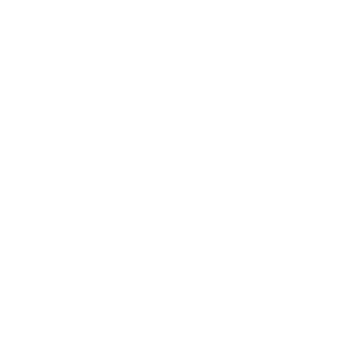 FaultyDetcord's emblem
