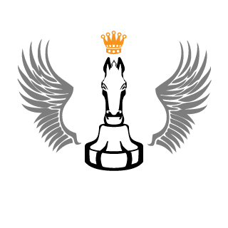BlaackGuys's emblem