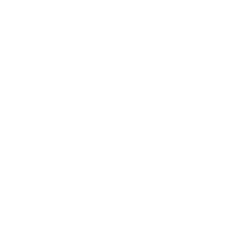 LUCAS-DA-FEIRA's emblem