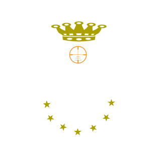 Pr0grEs5iVe's emblem