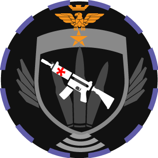 Niklas0218's emblem