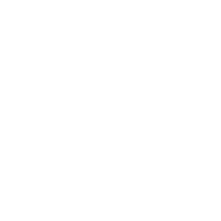 LSXWRENCH's emblem