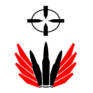 Docterino1's emblem