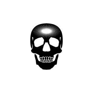 Plesak's emblem