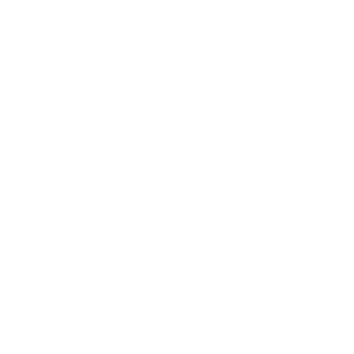 681st_Vica's emblem