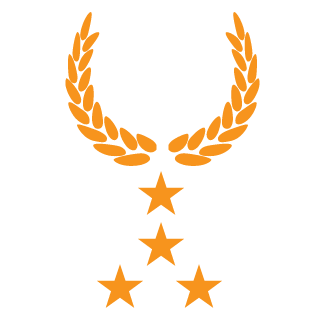 igormetalec's emblem