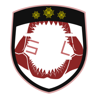 NazgulSV's emblem