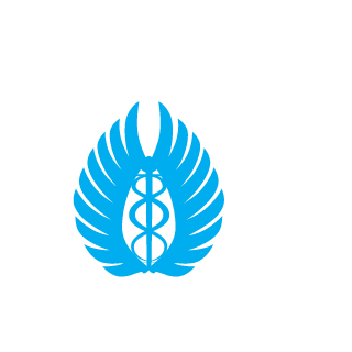 EisAngel's emblem