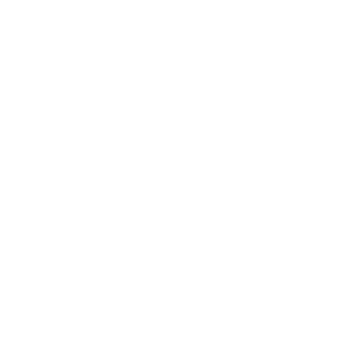 maxtium's emblem