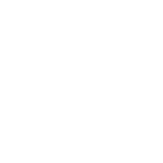 PEPE-IQ's emblem