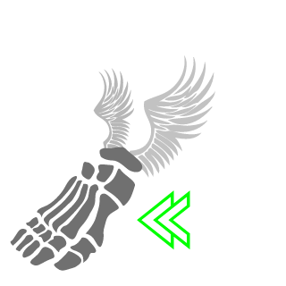 RagingDiablo's emblem