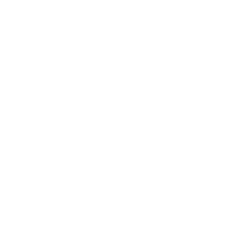 GodVN's emblem
