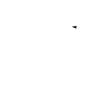 igtFlu's emblem