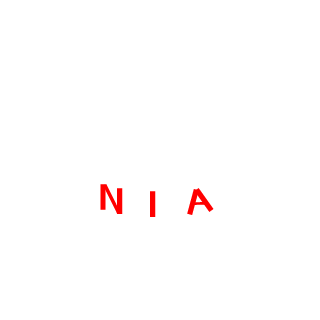 Noob Insurance Agency's emblem