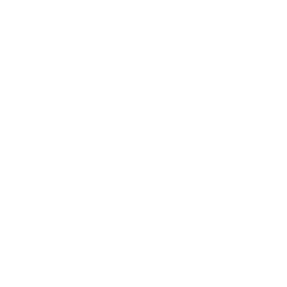 Srkiwi007's emblem