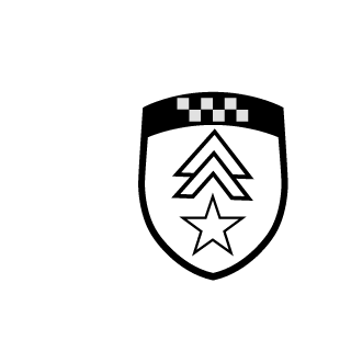Rainmetal55's emblem
