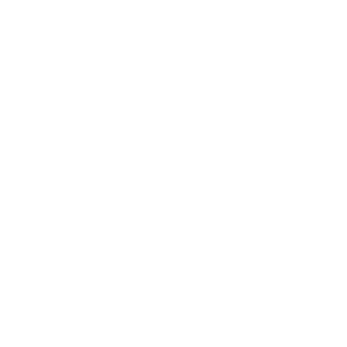 FaPaSoarasReXD's emblem
