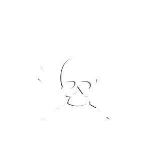 Sircled's emblem