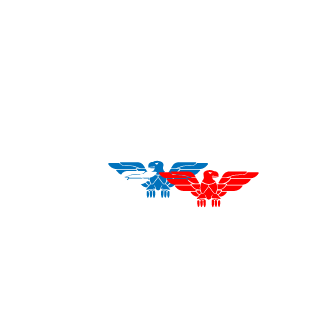 021722272's emblem