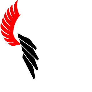 HealEmm's emblem