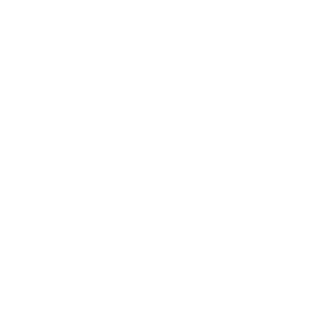 boiifudontget's emblem
