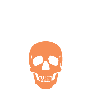 WagnerStange82's emblem