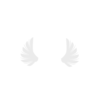 Arawn86's emblem