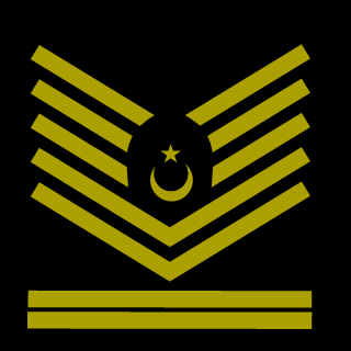Spflexa's emblem