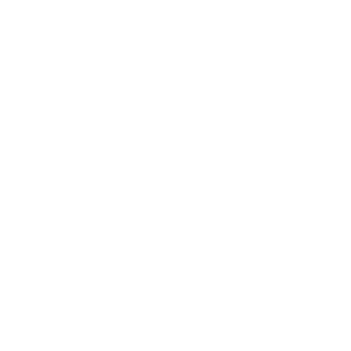 goonfist's emblem