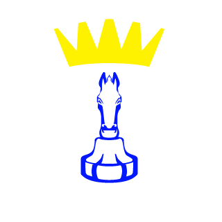 SKELETO_VR's emblem