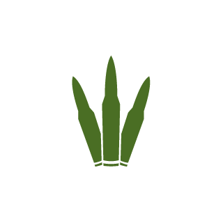 MDKlee's emblem