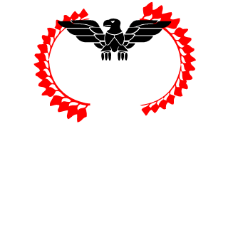 F1RMIN00's emblem