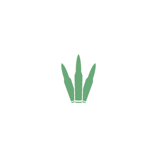 Krissbeedorma2's emblem