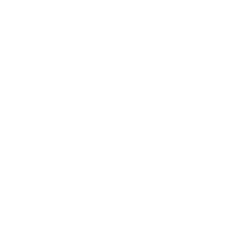 TenchiNoodles's emblem