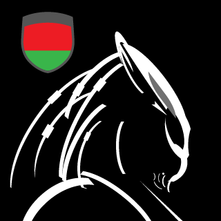 Mist_flaG's emblem