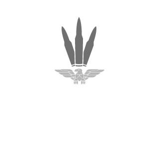 reni0007's emblem