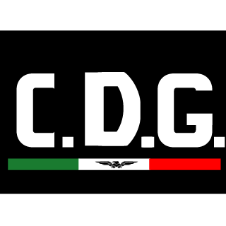 Chrisdg9's emblem