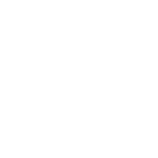 101-fusionssl's emblem