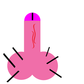 NutsieNickGurrs's emblem