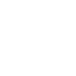 dziko_dz07's emblem