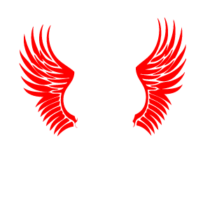LeftSock4's emblem