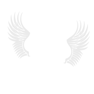 ShapeOfVoic3's emblem