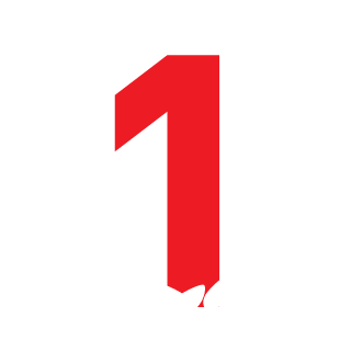 SSF_Duke's emblem