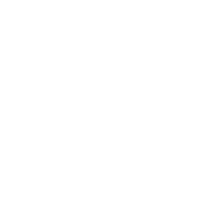 BlitzTreiber's emblem