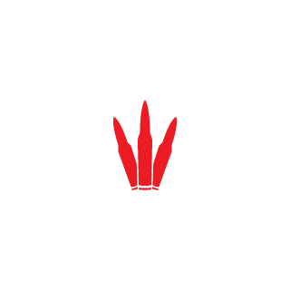 Invincible666's emblem