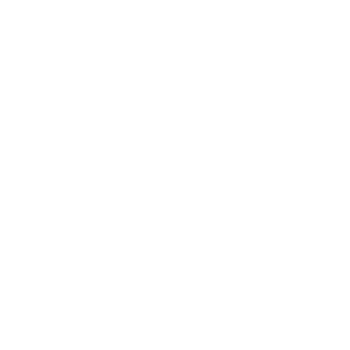 TH_Chinook_N's emblem