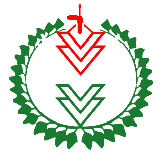 aki06's emblem