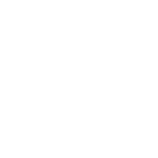RedSpeeder95's emblem