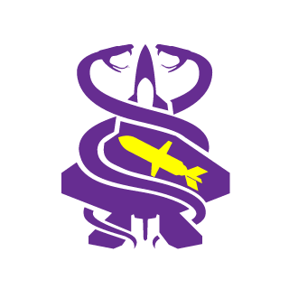 ViralViking0603's emblem
