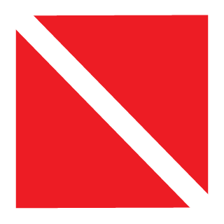 Dharmaboy75's emblem